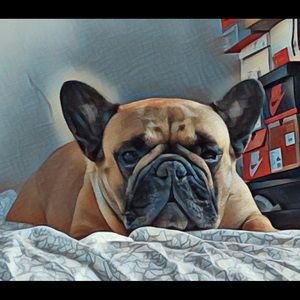 Meet your Posher, Marco